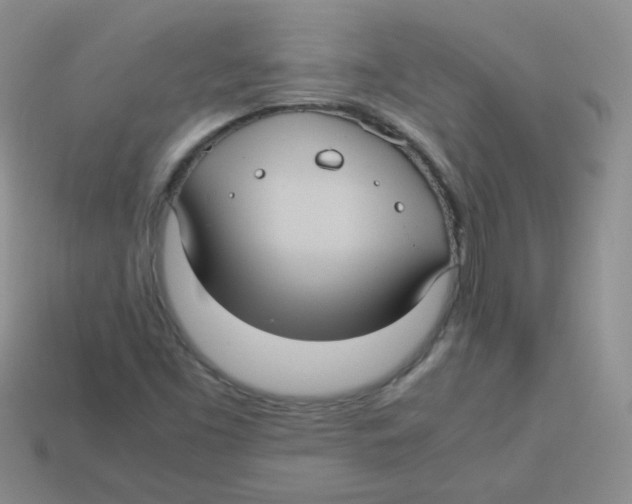 X0000113291453200910131016