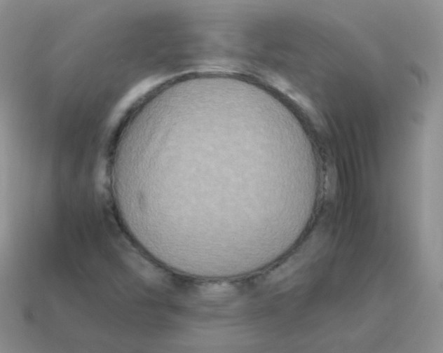 X0000113291454200910131016