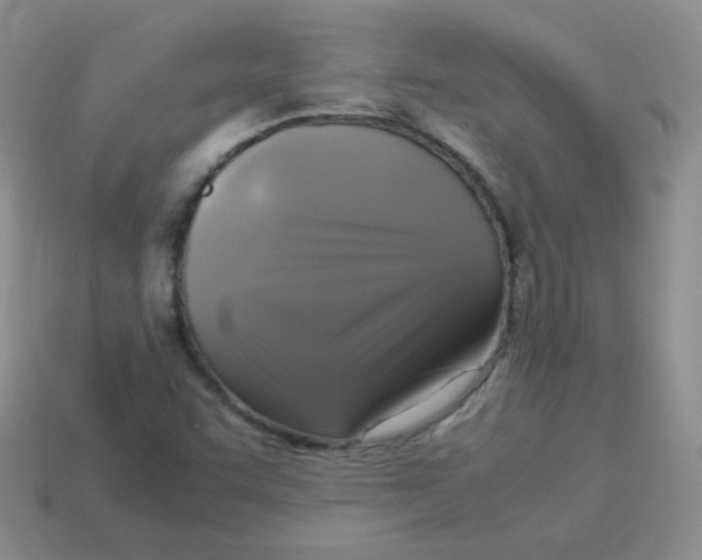 X0000113291455200910131016