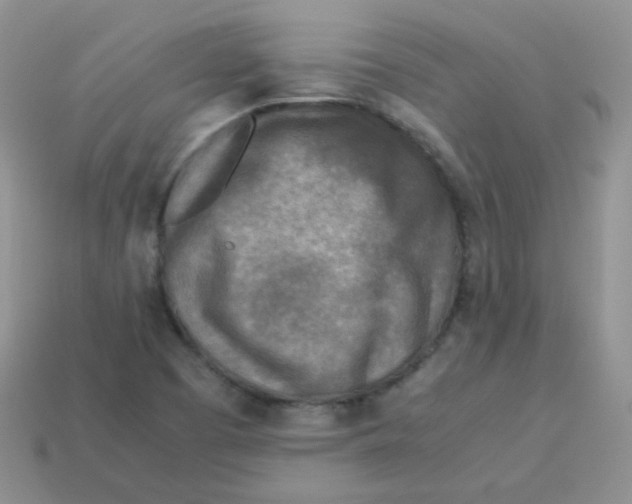 X0000113291457200910131016