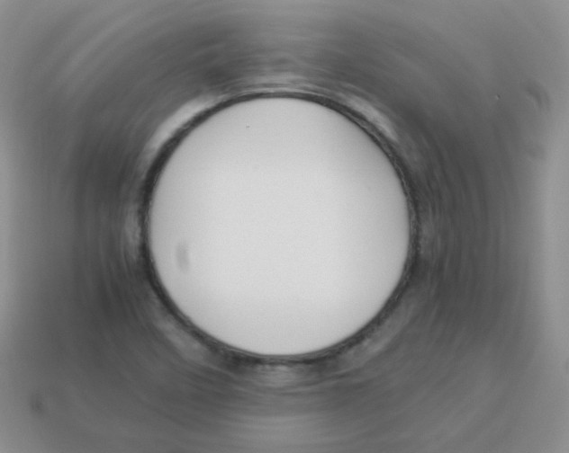 X0000113291458200910131016