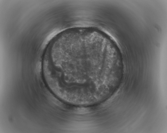 X0000113291459200910131016