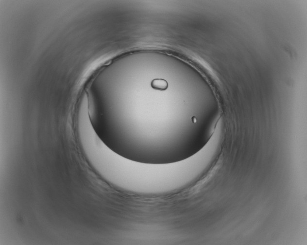 X0000113291461200910131016