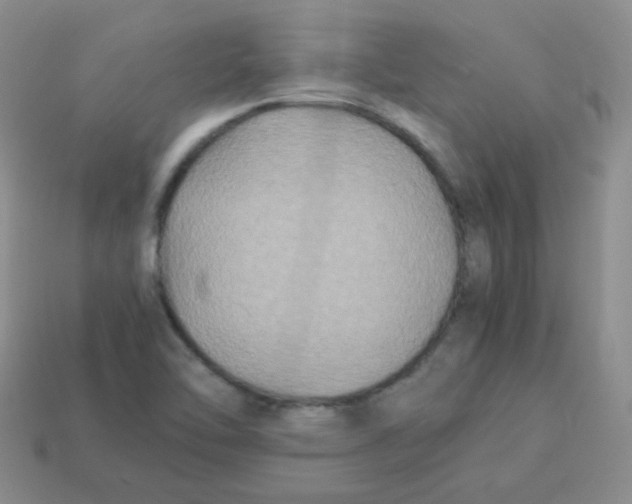 X0000113291462200910131016