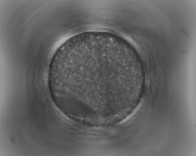 X0000113291463200910131016