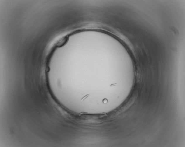 X0000113291464200910131016