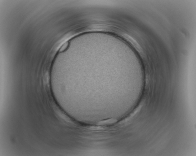 X0000113291465200910131016