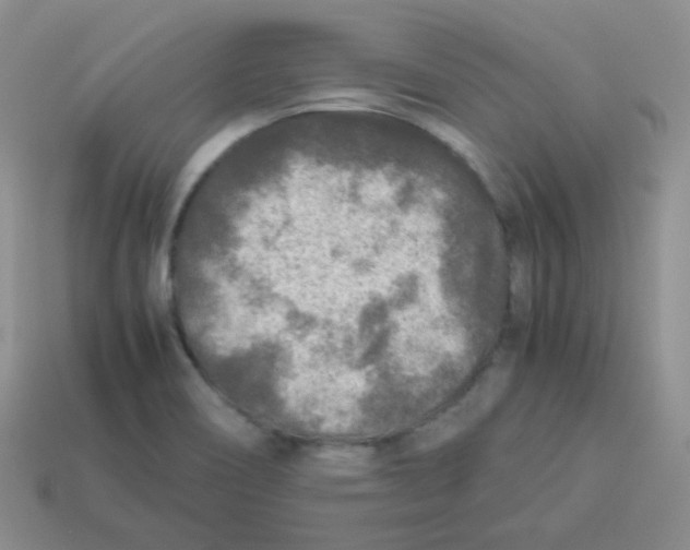 X0000113291466200910131016