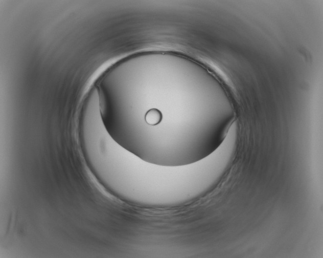 X0000113291468200910131016
