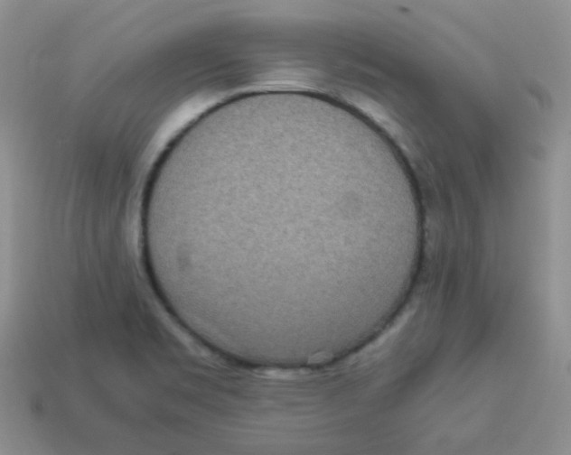 X0000113291469200910131016