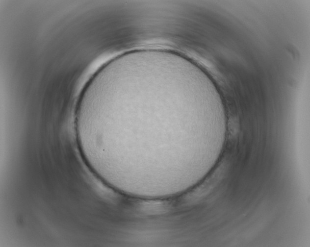 X0000113291470200910131016