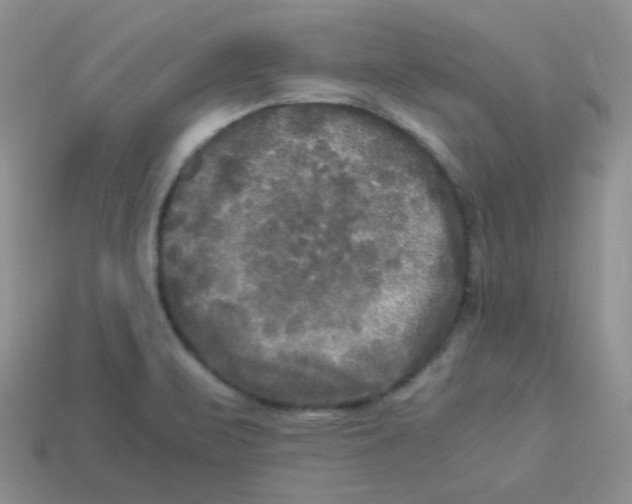 X0000113291471200910131016
