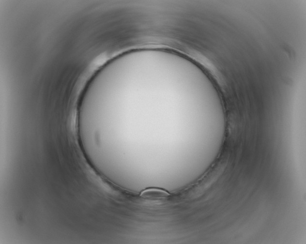 X0000113291472200910131016