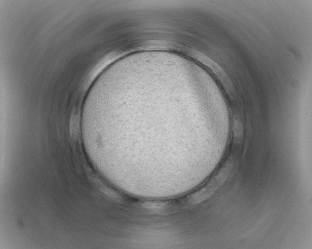 X0000113291473200910131016
