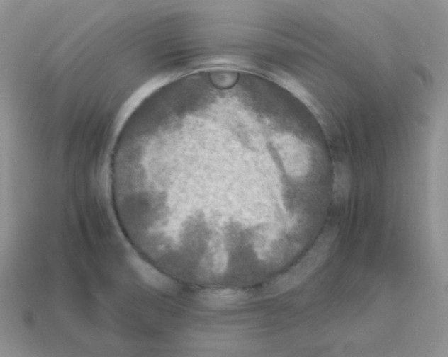 X0000113291474200910131016