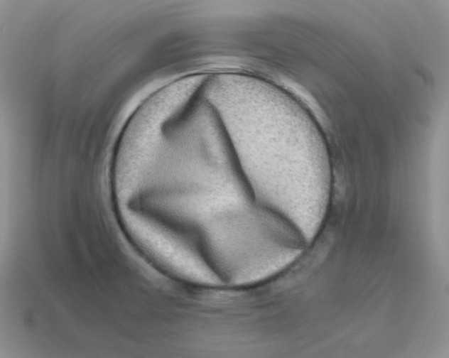 X0000113291475200910131016