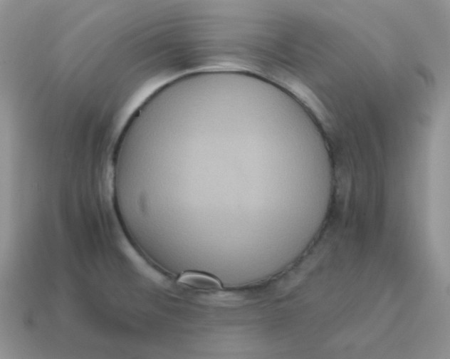 X0000113291476200910131016