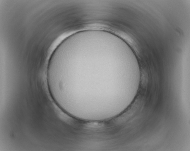 X0000113291478200910131016