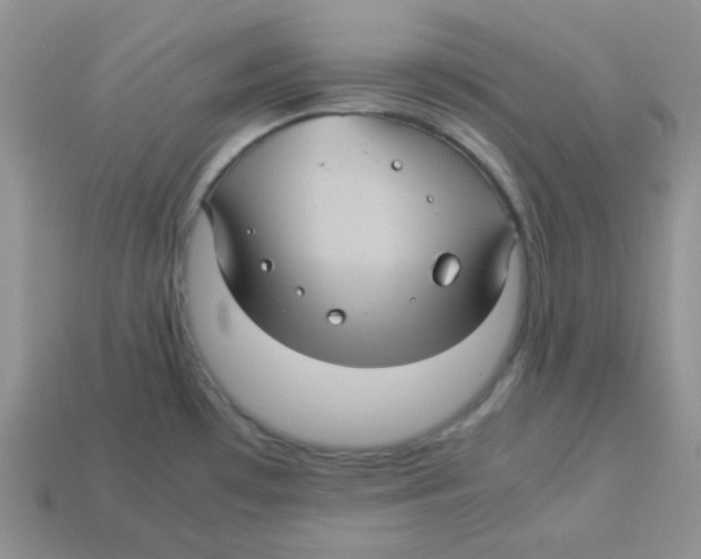 X0000113291481200910131016