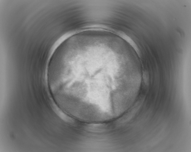 X0000113291482200910131016