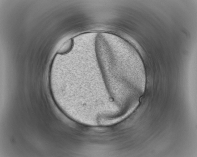X0000113291483200910131016