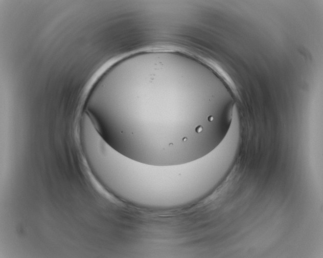 X0000113291484200910131016