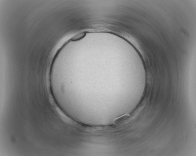 X0000113291485200910131016