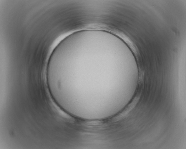 X0000113291486200910131016