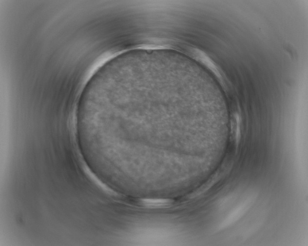 X0000113291487200910131016
