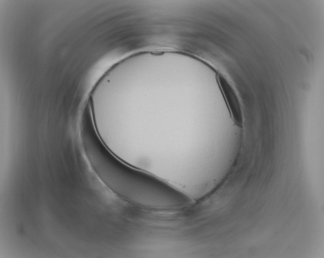 X0000113291488200910131016