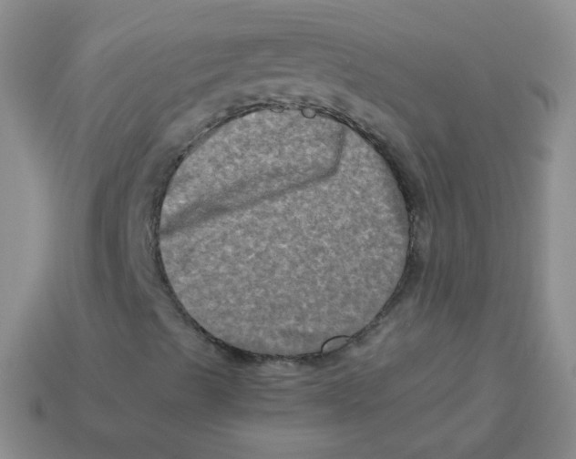 X0000113291489200910131015