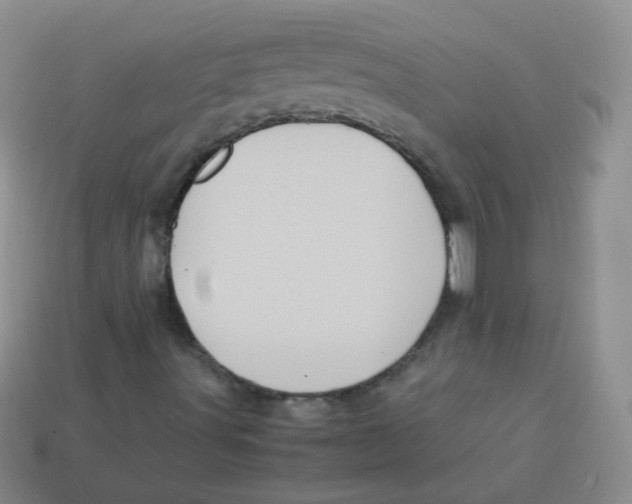 X0000113291491200910131015