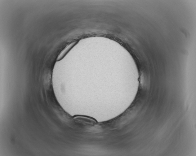 X0000113291492200910131015