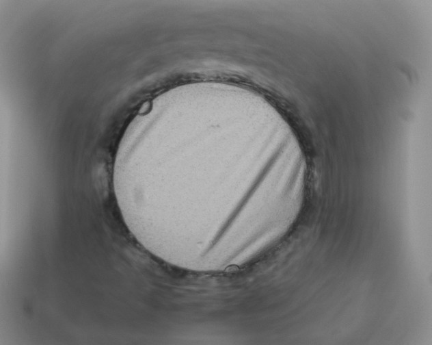 X0000113291493200910131015