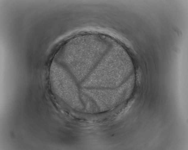 X0000113291494200910131015