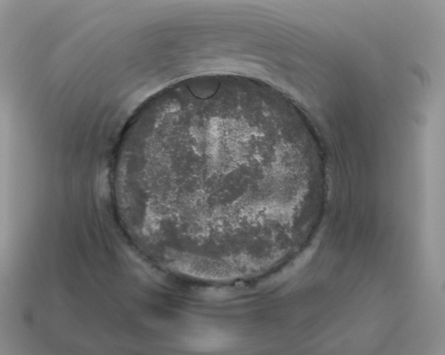 X0000113291497200910131015