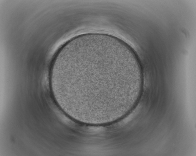 X0000113291498200910131015