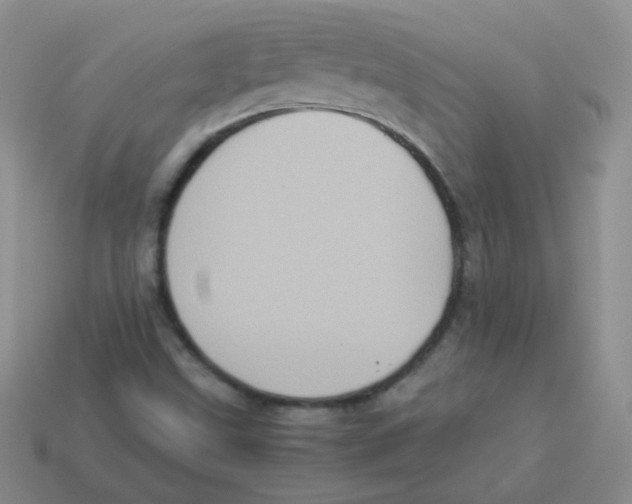 X0000113291499200910131015