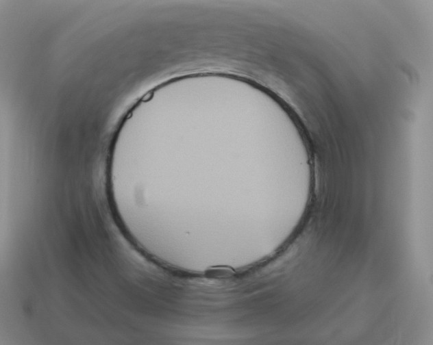 X0000113291500200910131015