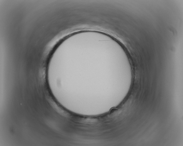 X0000113291503200910131015