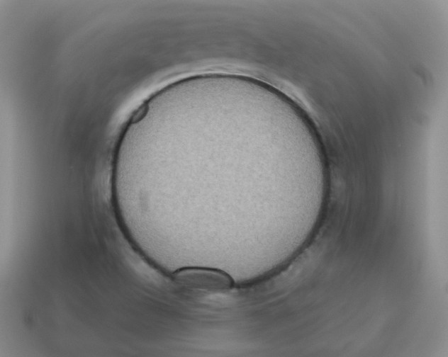 X0000113291504200910131015