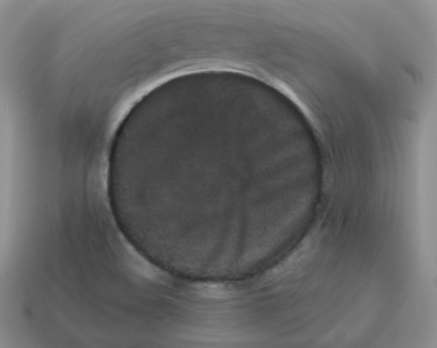 X0000113291508200910131016