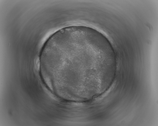 X0000113291509200910131016