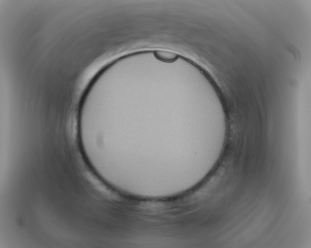 X0000113291511200910131016