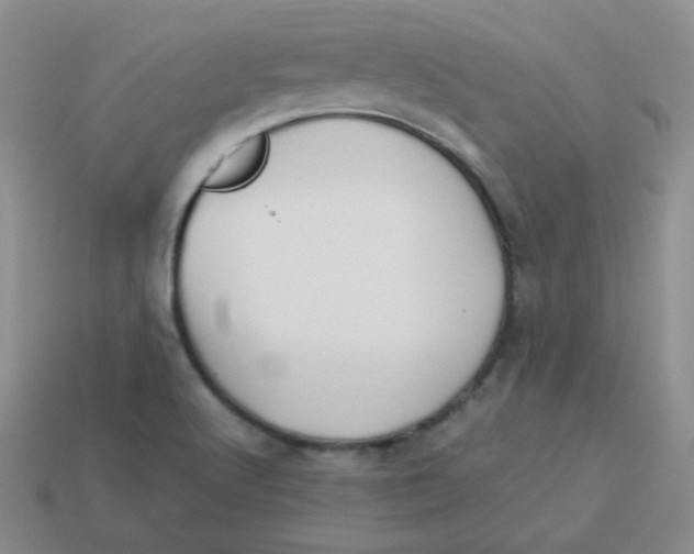 X0000113291512200910131016