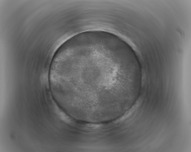 X0000113291513200910131016