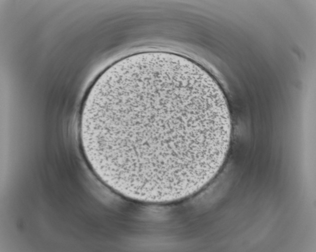X0000113291514200910131016