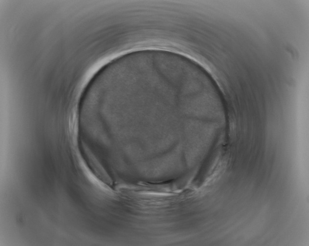 X0000113291515200910131016
