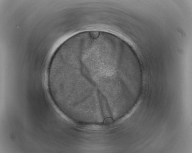 X0000113291517200910131016