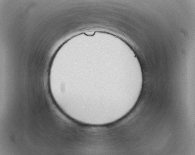 X0000113291518200910131016